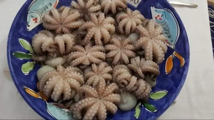 Alojamento de Acomodação e Pequeno-almoço La Tradizione Bari